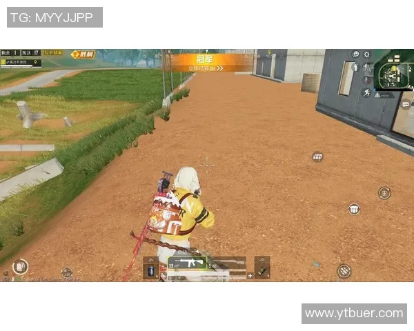 深度探讨黄秀英在和平精英中的成长与人生哲学